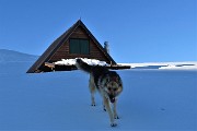 66 Alla Baita Re.Gi.Na alla Bocchetta Reagur (1853 m)